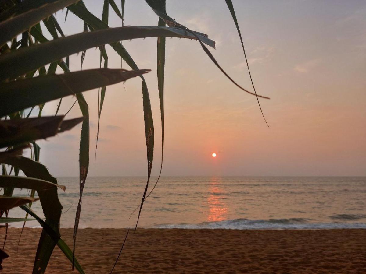 Lavila Beach Cottage Wadduwa Bagian luar foto
